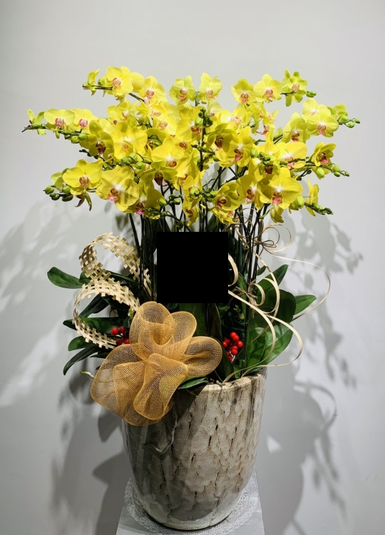 Dành Tặng Mẹ - 12 Cây