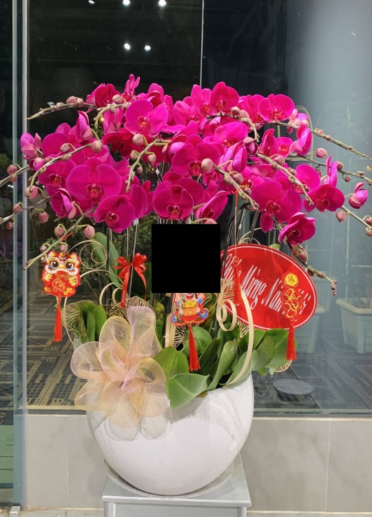 Tết Sum Vầy-15 Cây 