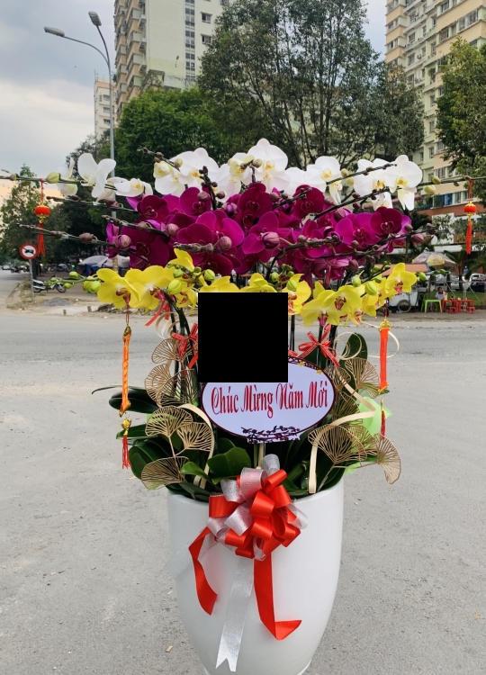 Xuân Sum Vầy - 25 cây