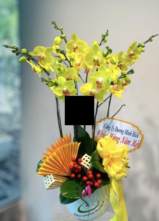 LHĐ Tết06 4 Cây 2 Vòi